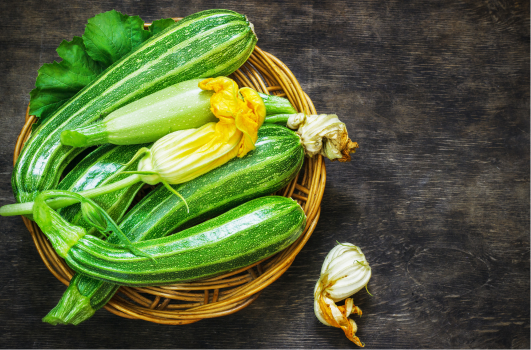 Combien de temps un plant de courgette produit il des fruits