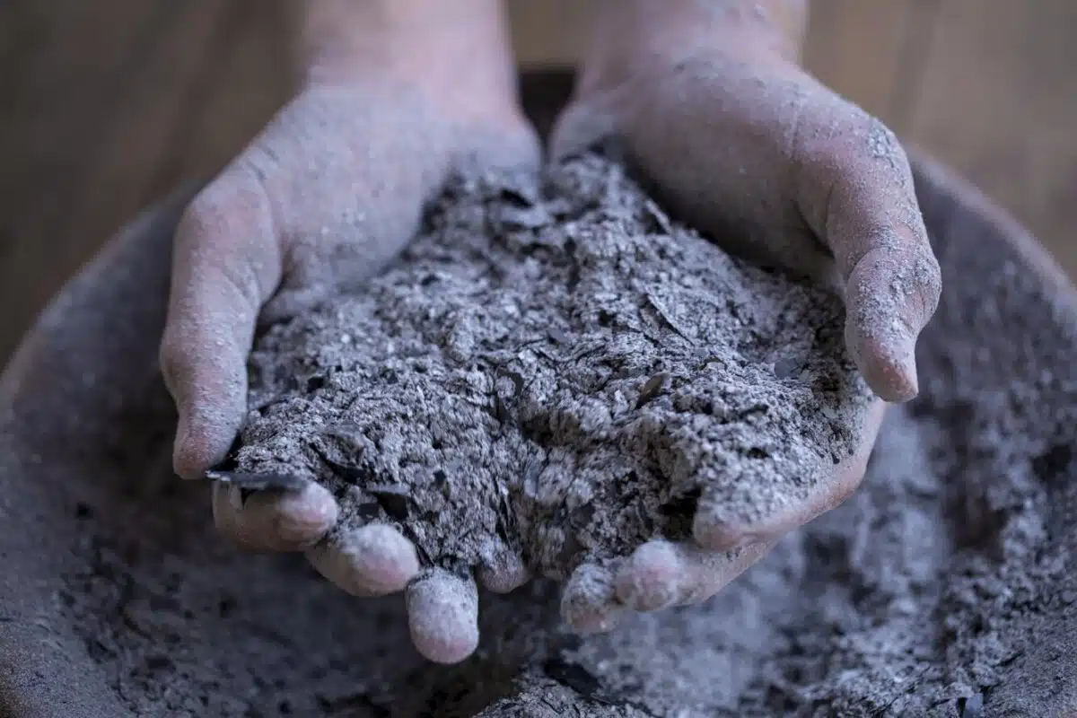 Quelle quantité de cendre de bois utiliser pour un désherbage efficace