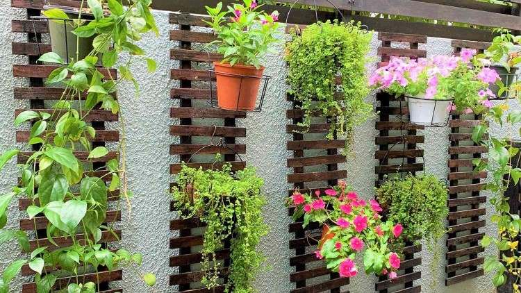 Peut on cultiver des plantes comestibles dans de grands contenants sur une terrasse