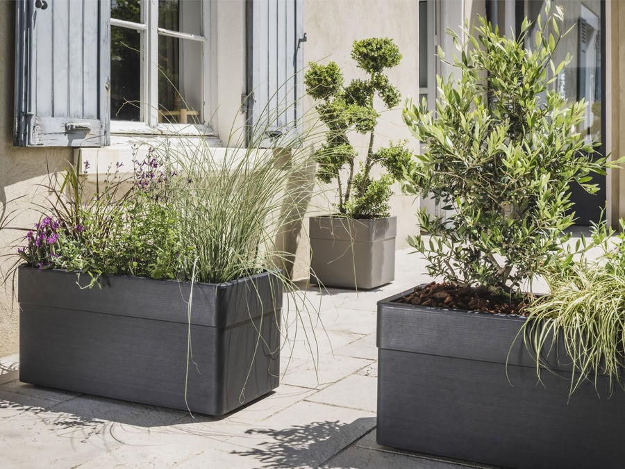 Quelles plantes choisir pour décorer une terrasse avec de grands pots