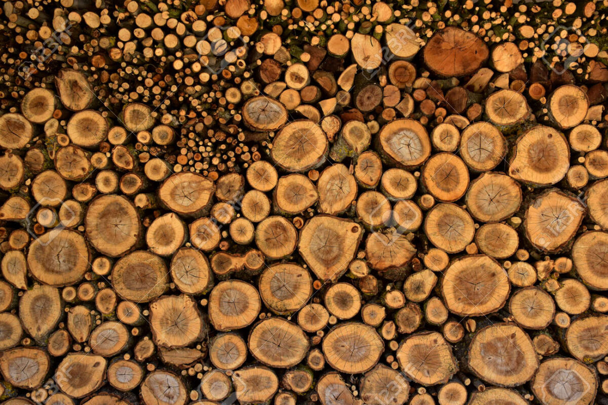 bois de chauffage à 40 euros le stère3