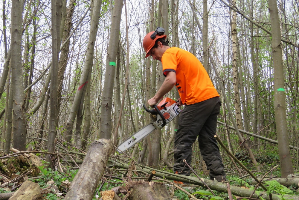 bois de chauffage à 40 euros le stère6