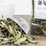 laver la verveine avant de la faire sécher5