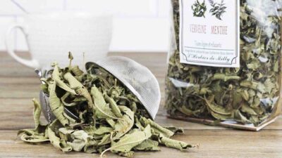 laver la verveine avant de la faire sécher5